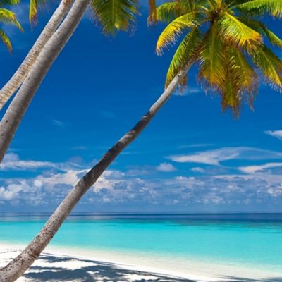 palms_beach